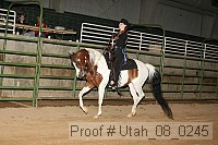 utah_08_0245 proof