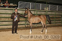 utah_08_0269 proof