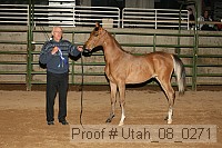 utah_08_0271 proof