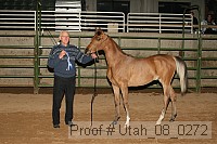 utah_08_0272 proof