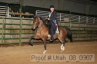 utah_08_0307 proof
