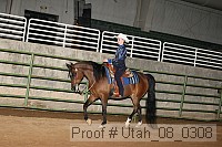 utah_08_0308 proof