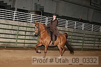 utah_08_0332 proof