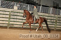 utah_08_0334 proof