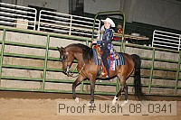 utah_08_0341 proof