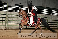 utah_08_0373 proof
