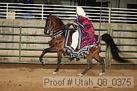 utah_08_0375 proof