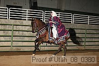 utah_08_0380 proof