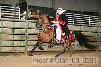 utah_08_0381 proof