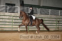 utah_08_0384 proof