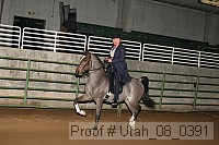 utah_08_0391 proof