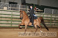 utah_08_0392 proof