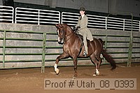 utah_08_0393 proof