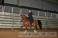 utah_08_0395 proof