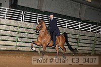 utah_08_0407 proof