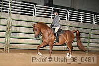 utah_08_0481 proof