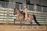 utah_08_0491 proof