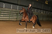 utah_08_0493 proof