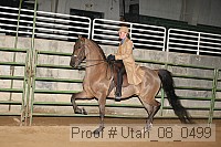 utah_08_0499 proof