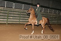 utah_08_0501 proof