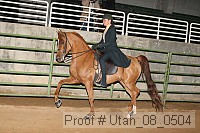 utah_08_0504 proof