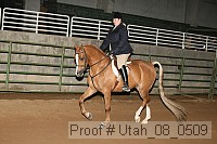 utah_08_0509 proof