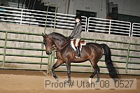 utah_08_0527 proof