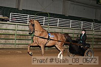 utah_08_0672 proof