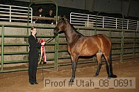utah_08_0691 proof