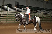 utah_08_0705 proof