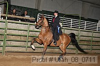 utah_08_0711 proof