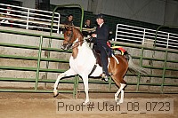 utah_08_0723 proof