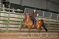utah_08_0733 proof
