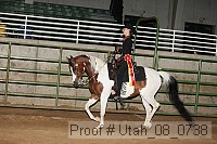 utah_08_0738 proof