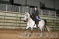 utah_08_0739 proof