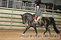 utah_08_0743 proof