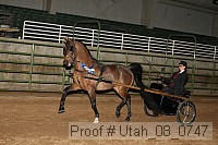 utah_08_0747 proof