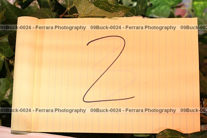 Proof 09buck-0024