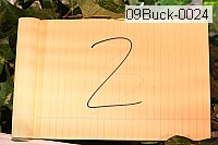 09buck-0024 proof