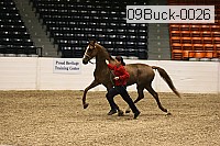 09buck-0026 proof