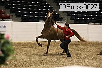 09buck-0027 proof