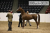 09buck-0028 proof