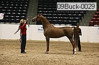 09buck-0029 proof