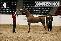 09buck-0030 proof