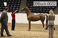 09buck-0032 proof