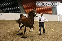 09buck-0034 proof