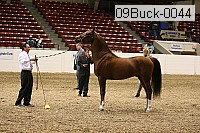 09buck-0044 proof