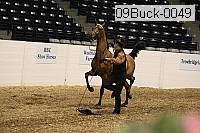 09buck-0049 proof