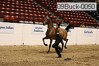 09buck-0050 proof