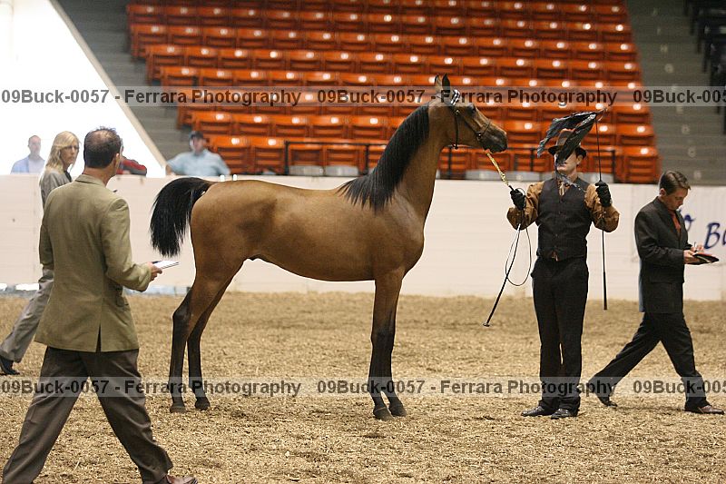 Proof 09buck-0057